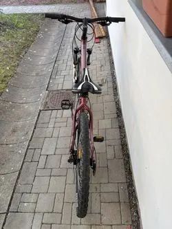 Trek SKYE SL