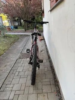 Trek SKYE SL