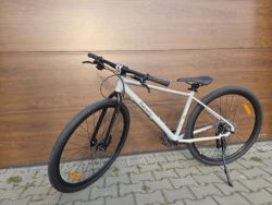 Beany Zero 29 - vel 17