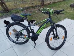 Dámské elektrokolo Voice Volume 29"