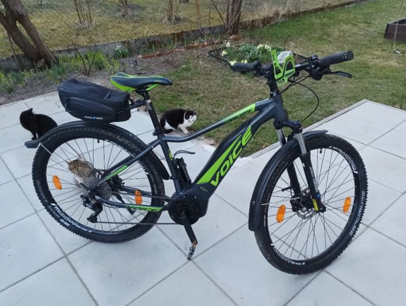 Dámské elektrokolo Voice Volume 29"