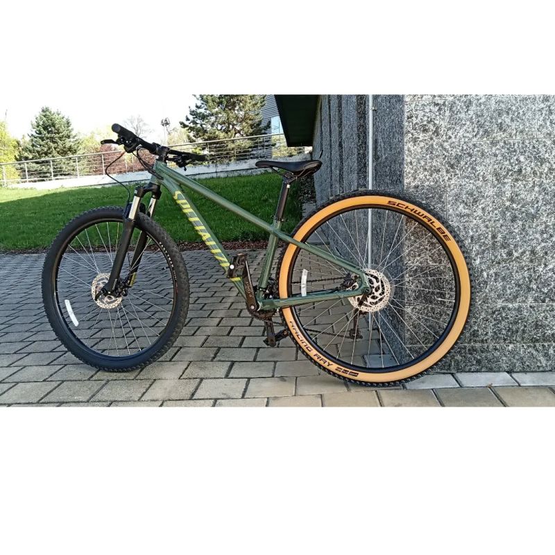 Specialized 29 S