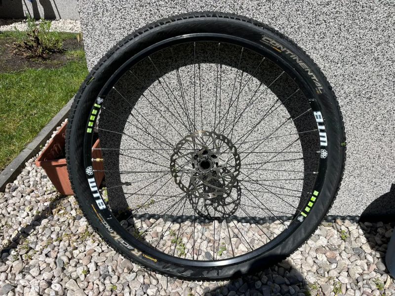 WTB Zapletené přední kolo Frequency i19 Race Lefty 29"