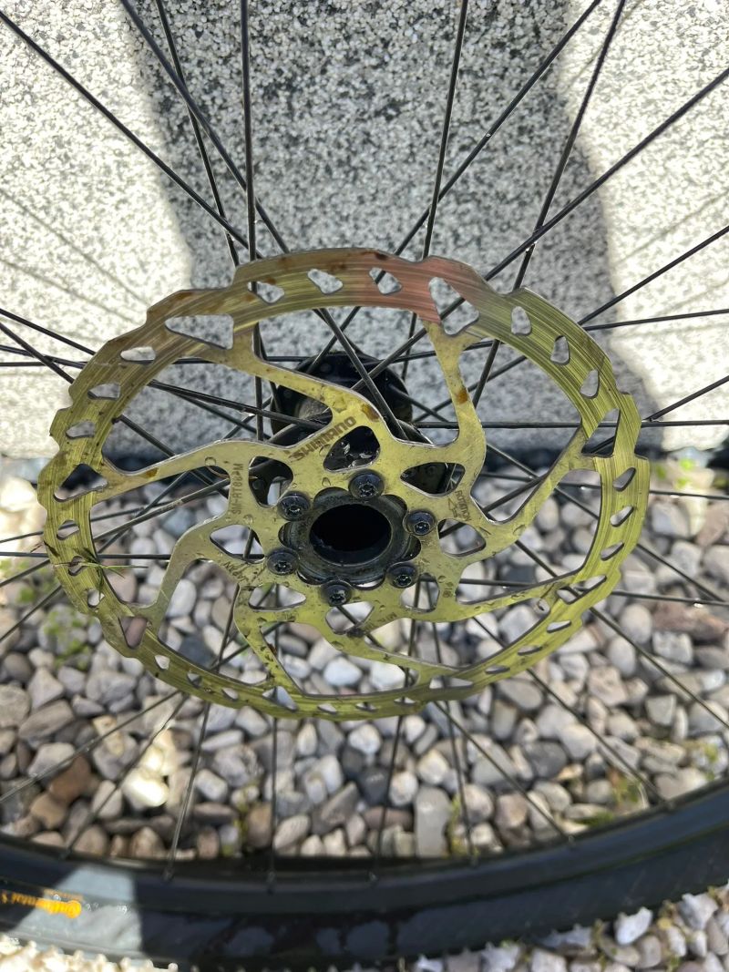 WTB Zapletené přední kolo Frequency i19 Race Lefty 29"