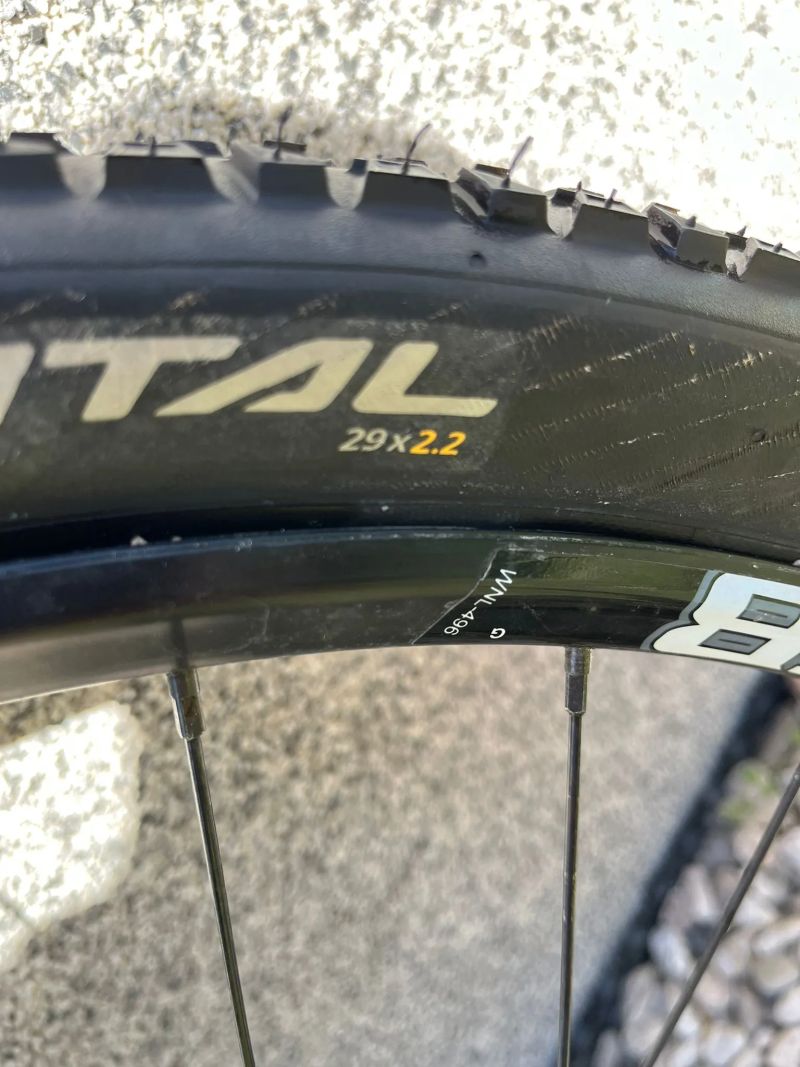 WTB Zapletené přední kolo Frequency i19 Race Lefty 29"