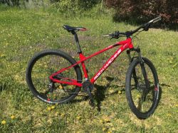 Rock Machine Manhattan