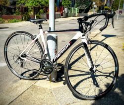 Merida Road Race 905