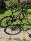 Specialized Roubaix vel. 56, kola mavic karbon