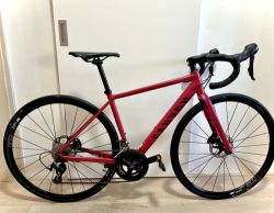 Canyon Endurace WMN 7 AL ( 2x11speed ) vel.Xs