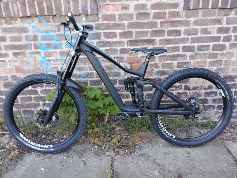 Dartmoor Dartmoor Thunderbird FR (vlastní stavba na rámu)