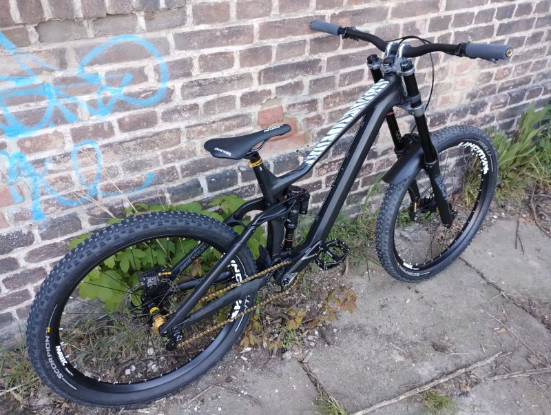 Dartmoor Dartmoor Thunderbird FR (vlastní stavba na rámu)