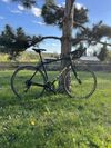 Trek Domane Al 2 Rim 2024 56 L