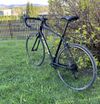 Trek Domane Al 2 Rim 2024 56 L