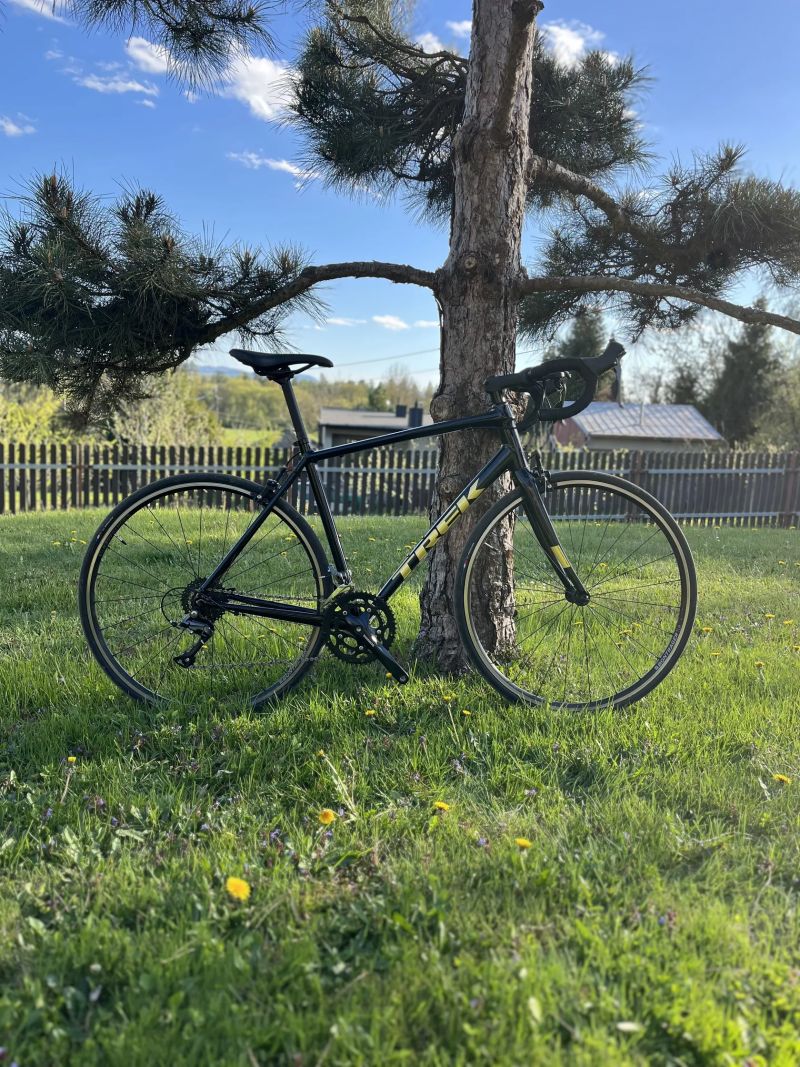 Trek Domane Al 2 Rim 2024 56 L