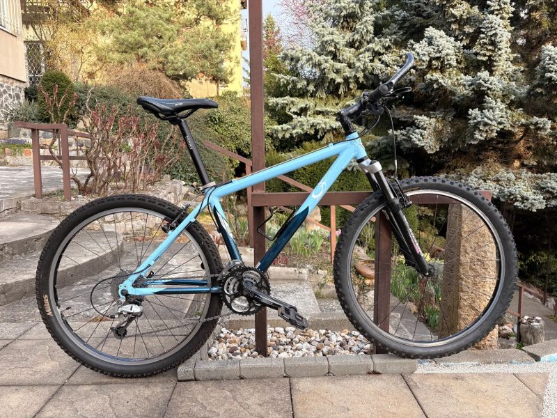 Gary Fisher Big Sur