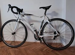 Kellys URC 6.9 Carbon