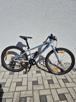 Author Ultrasonic 24