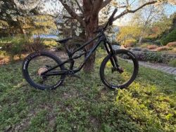 Canyon Torque CF8 Mullet