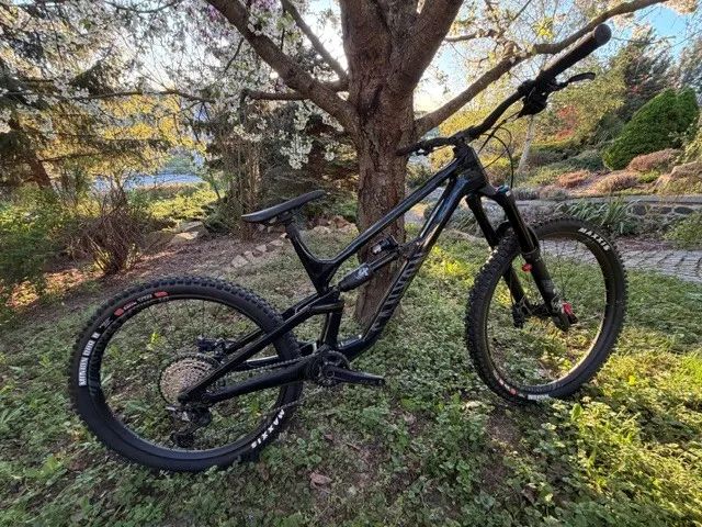 Canyon Torque CF8 Mullet