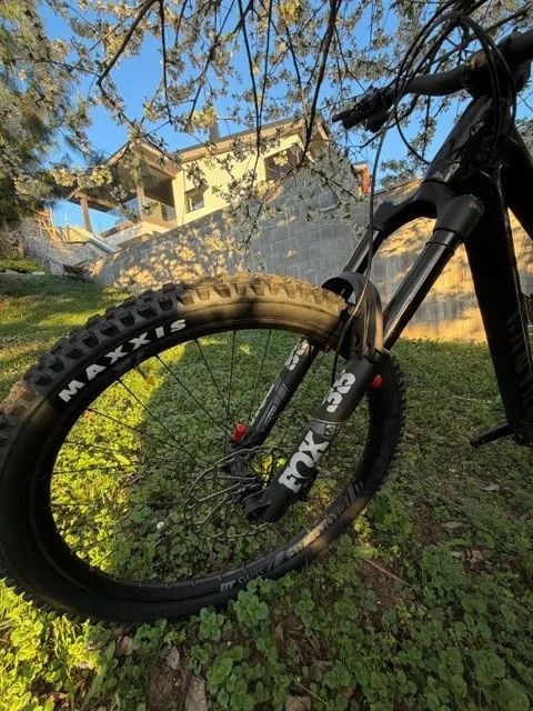 Canyon Torque CF8 Mullet