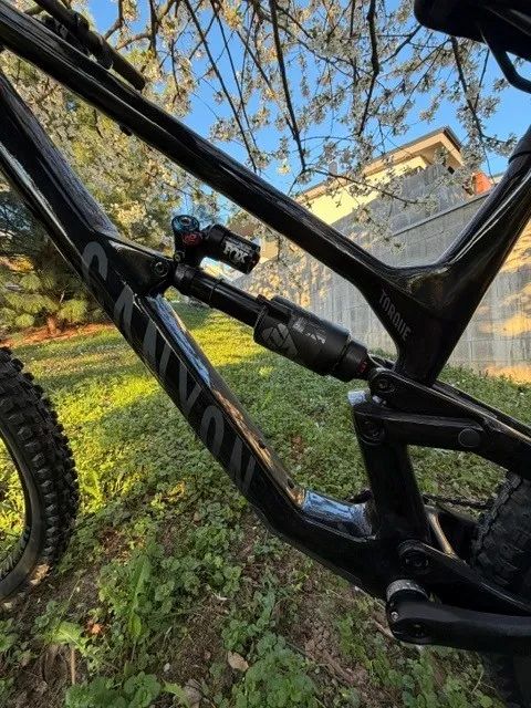 Canyon Torque CF8 Mullet