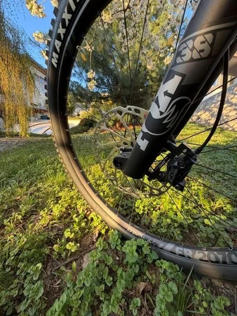 Canyon Torque CF8 Mullet