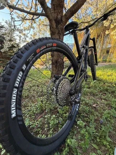 Canyon Torque CF8 Mullet