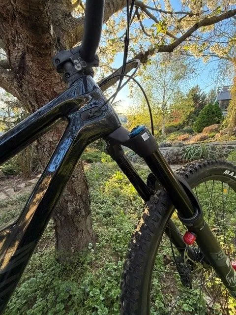 Canyon Torque CF8 Mullet