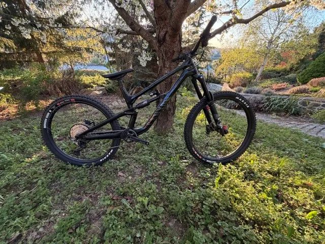 Canyon Torque CF8 Mullet