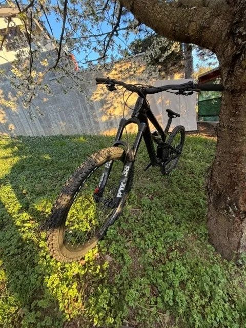 Canyon Torque CF8 Mullet