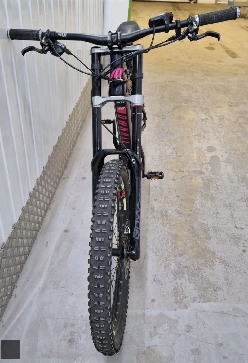 Haibike Downhill 10 (2021) | Diamond