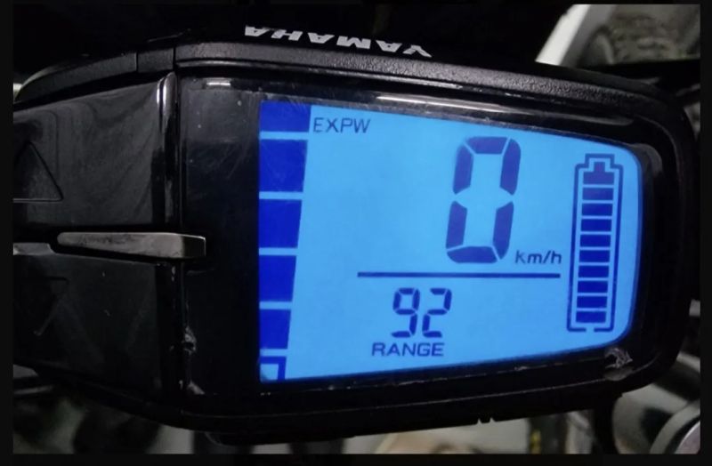 Haibike Downhill 10 (2021) | Diamond