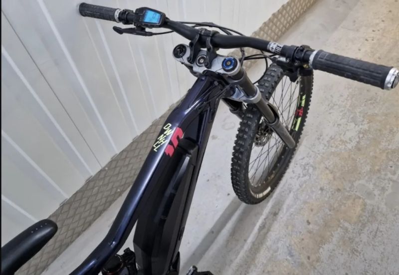 Haibike Downhill 10 (2021) | Diamond