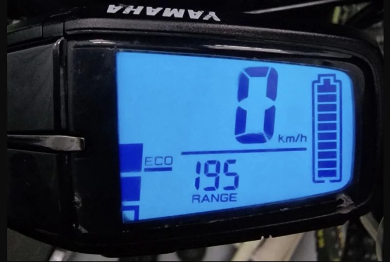 Haibike Downhill 10 (2021) | Diamond