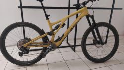 Specialized Stumpjumper Evo