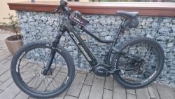 Crussis Pan Guera 9.8