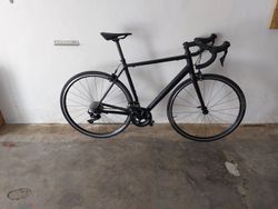 Canyon Endurace 7 velikost M