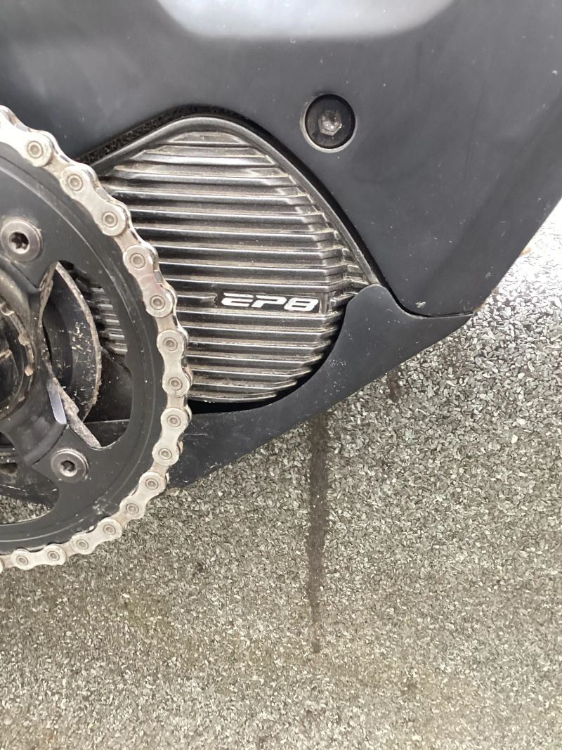  Dartmoor E- Thunderbird cf