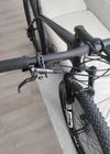 Carbon hardtail / SID /full XTR /XX1/carbon kola/9.2kg