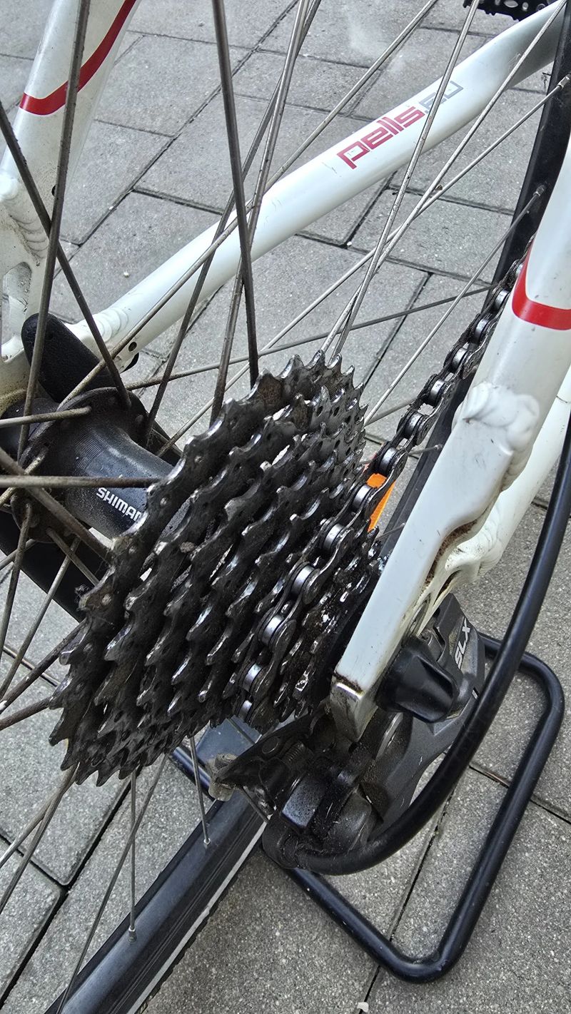 Dámské crossové kolo Pells