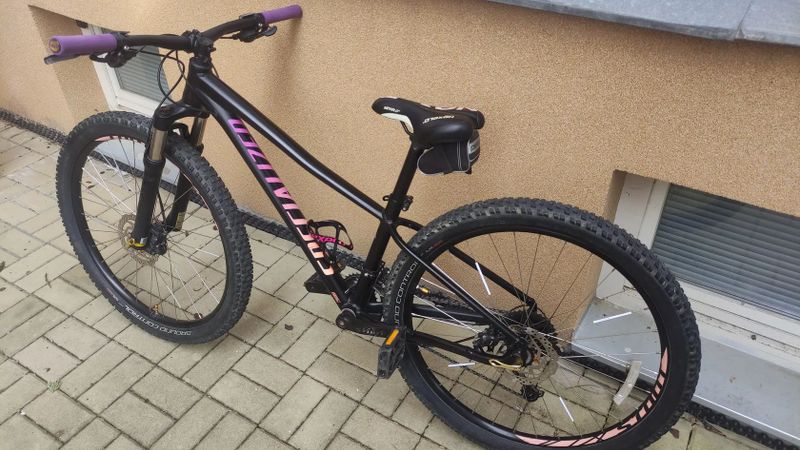 Specialized Pitch