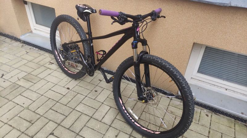Specialized Pitch