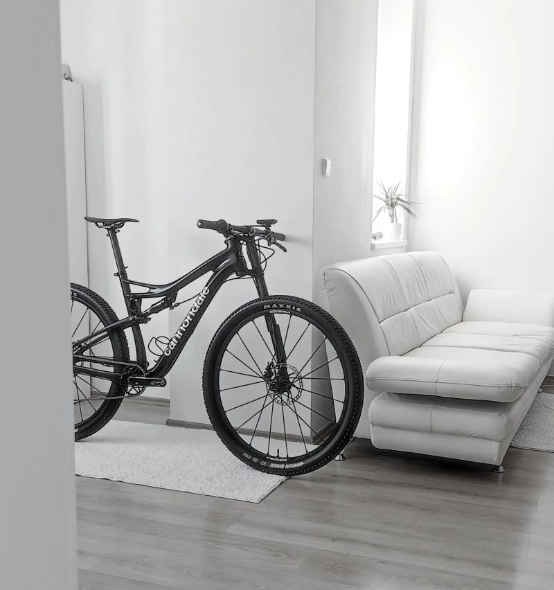 Cannondale Scalpel Team Hi-Mod/XX1/Tune/Darimo/Crossmax SLR/10.2kg