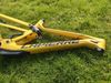 Lapierre spicy CF M 