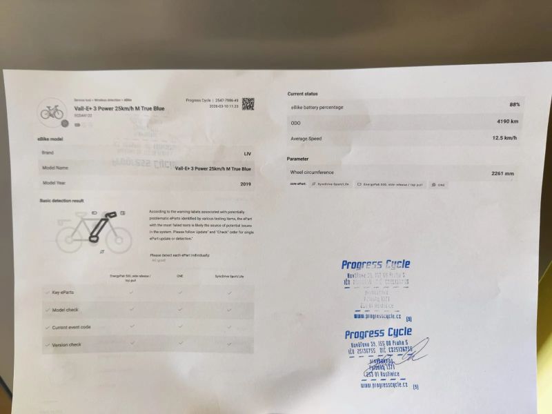 Giant Liv Vall-E+ 3 Power 2019