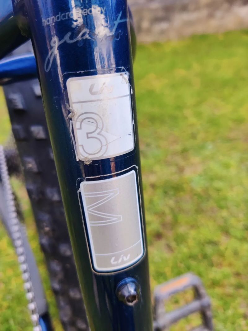 Giant Liv Vall-E+ 3 Power 2019