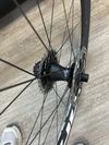 Zipp 303 Firecrest