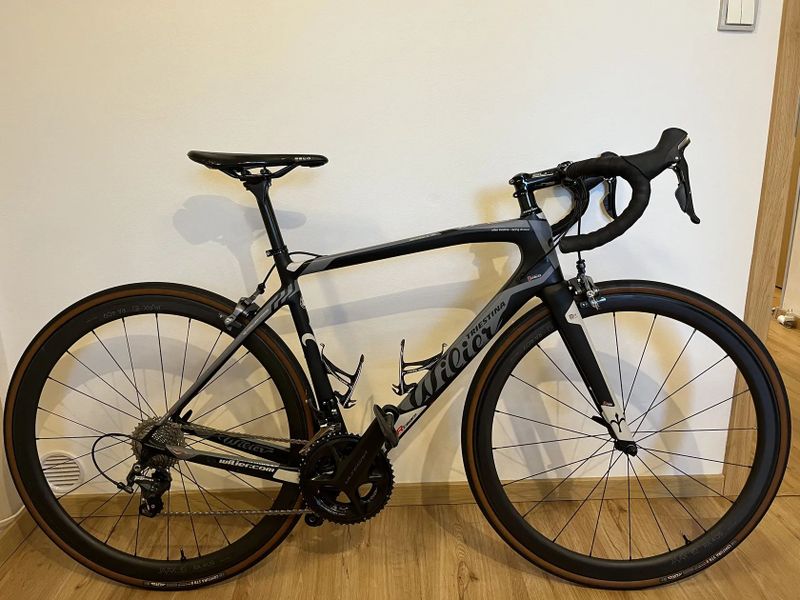 Wilier Triestina GTR Team