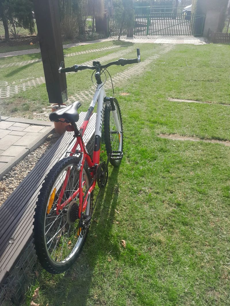 Author MTB XC
