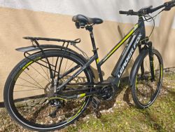 Leader Fox Bend CROSS 2018